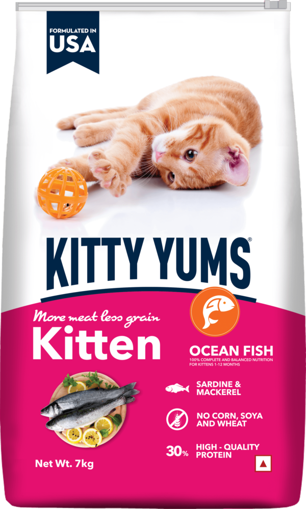 קיטי ימז (KITTY YUMS) מזון יבש פרימיום לגורי חתולים
