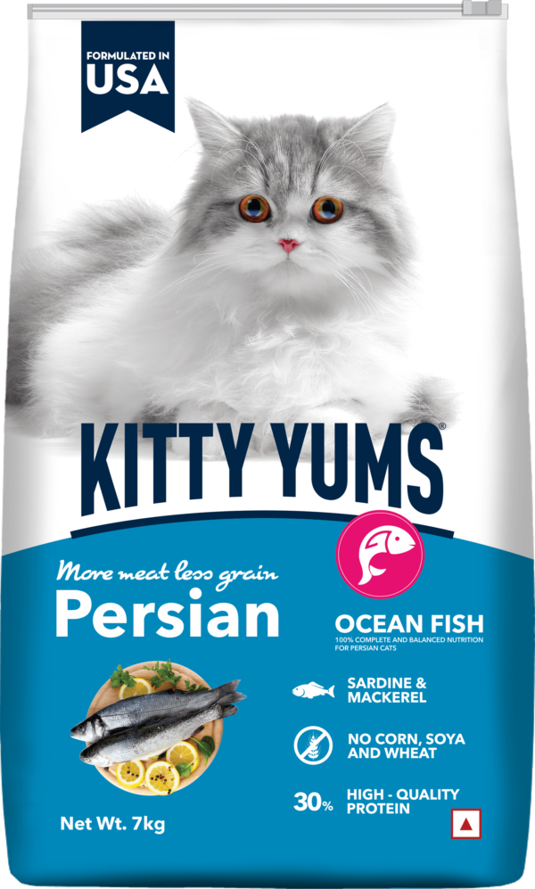 קיטי ימז (KITTY YUMS)  מזון יבש פרימיום לחתול פרסי
